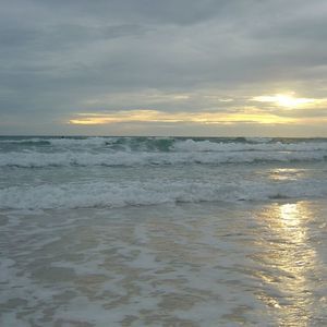 Meet your Posher, Marilyn